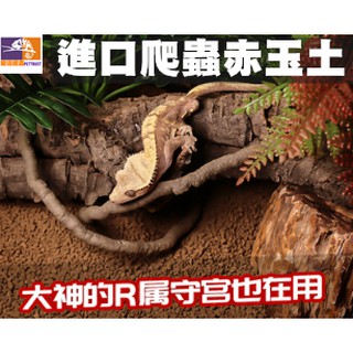台灣現貨秒發 爬蟲底材赤玉土睫角r屬巨人守宮睫角其他巨人守宮 蝦皮購物