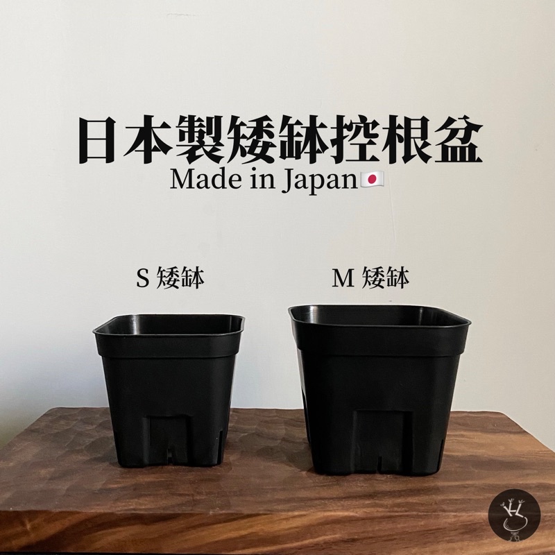 日本盆鉢在自選的價格推薦- 2022年5月| 比價比個夠BigGo