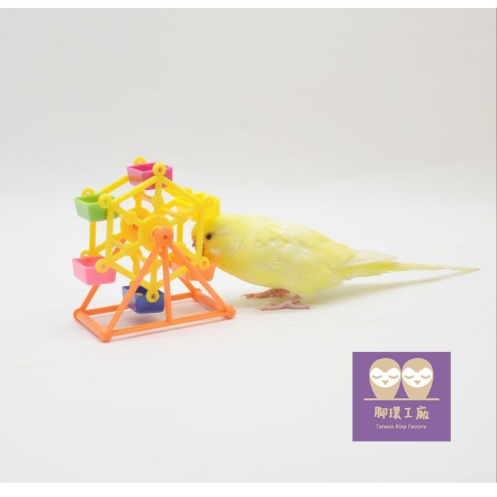 鸚鵡趣味益智玩具-可愛摩天輪