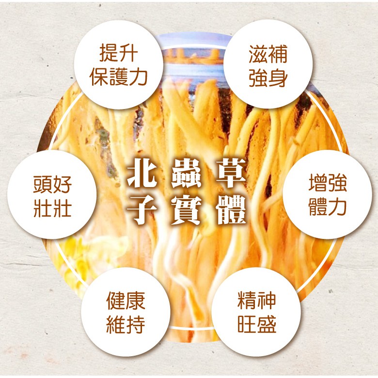 黃金草子實體錠 60粒裝 蝦皮購物