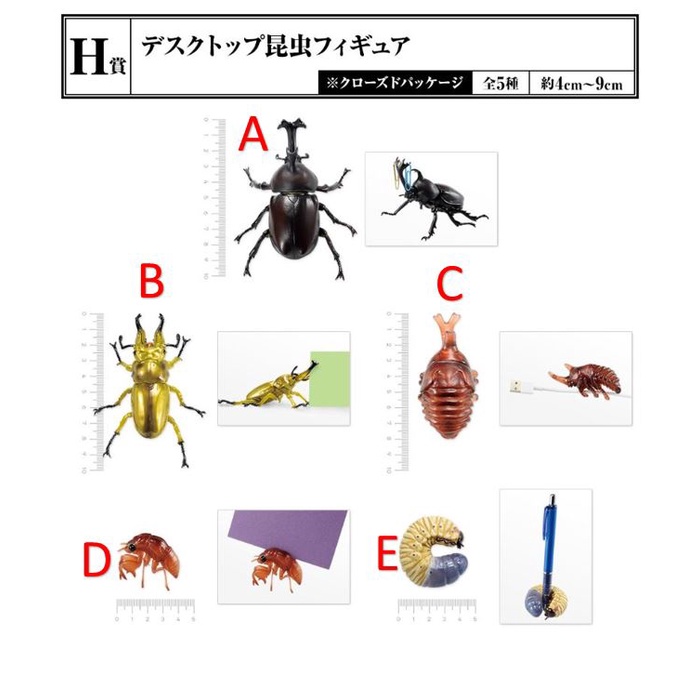[元氣滿屋] 日版 一番賞 昆蟲 世界的昆蟲博物館 H賞 小型 昆蟲模型