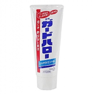 日本花王 防蛀護齦雙效牙膏 薄荷 165g