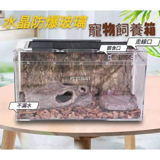 【臺灣現貨】水晶玻璃爬蟲箱 透明飼養箱 飼養箱 防漏水 爬蟲飼養箱 蜥蜴箱 爬蟲 爬蟲箱 加熱箱 陸龜 鼠婦 豹紋
