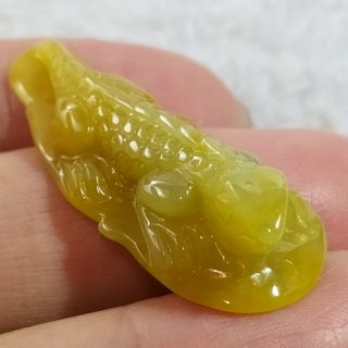【遇見善緣玉結善緣】冰黃 精雕 蜥蜴(變色龍天然緬甸玉 A貨翡翠)🦎今非昔比🦎玉牌玉墬項鍊掛件吊墬現貨特惠 希望智慧