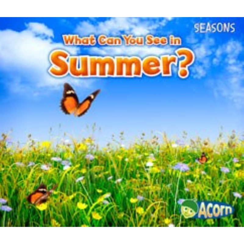 What Can You See in Summer?/Sian Smith 文鶴書店 Crane Publishing