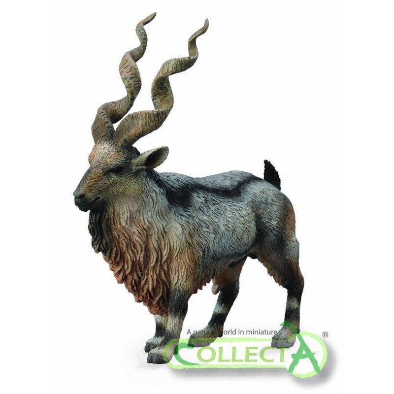 動物模型collecta 捻角山羊巴基斯坦國獸 蝦皮購物
