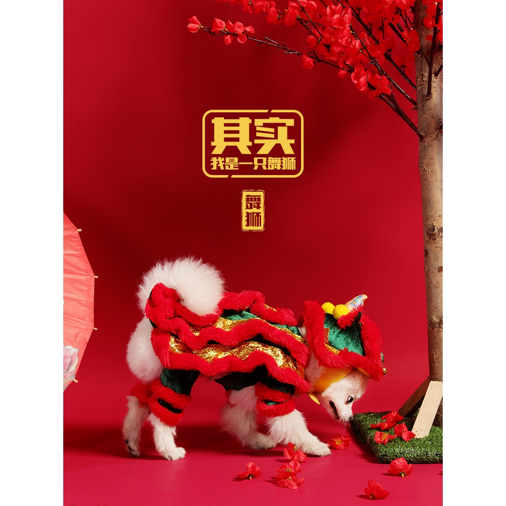 狗狗舞獅裝寵物狗衣服抖音同款舞獅子舞龍小型犬泰迪網紅搞怪唐裝 蝦皮購物
