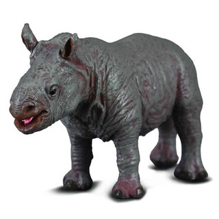 「芃芃玩具」 COLLECTA 動物模型 小犀牛 R88089 貨號88089
