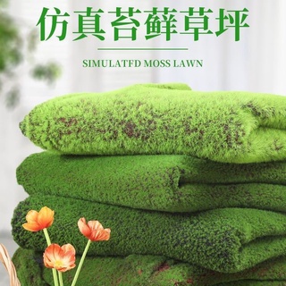 模擬苔蘚假青苔人造草坪diy盆景盆栽綠植園林草坪攝影草皮人造草皮