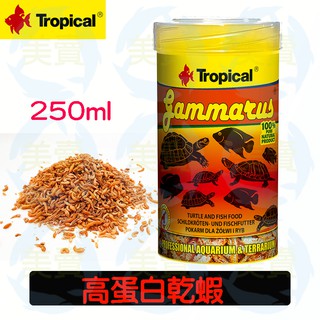 美賣 德比克 Tropical 高蛋白 乾蝦 乾燥蝦 250ml 烏龜飼料 兩棲爬蟲 巴西龜 水龜 烏龜 飼料