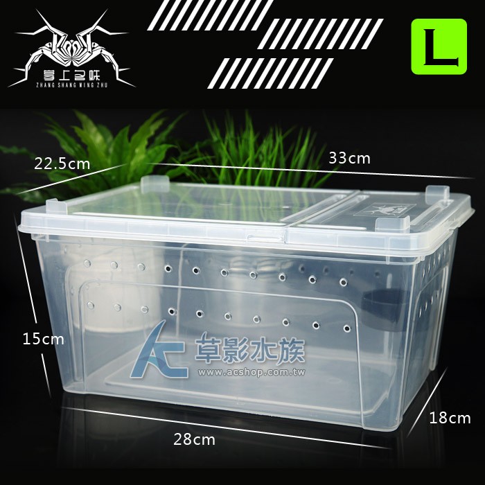 【AC草影】掌上名蛛 爬蟲飼養盒 附水盆（L）【一個】透明盒 昆蟲箱 寵物箱 兩棲 爬蟲箱 飼育盒