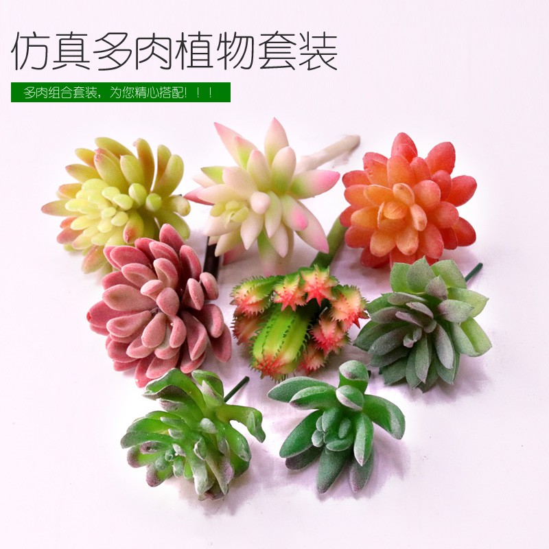 仿真多肉植物組合搭配假多肉肉室內室外花盆栽點綴綠植背景墻裝飾 蝦皮購物