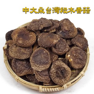 -中大朵臺灣仁愛鄉段木香菇/柴菇/木頭菇- 南投仁愛鄉奧萬大產的原木香菇，產量少，肉身薄，味道香濃，燉湯最適合。