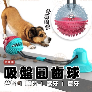 【柴本部】吸盤拉力圓齒球 寵物玩具/狗玩具/磨牙玩具/潔牙/吸盤玩具/互動玩具/咬球