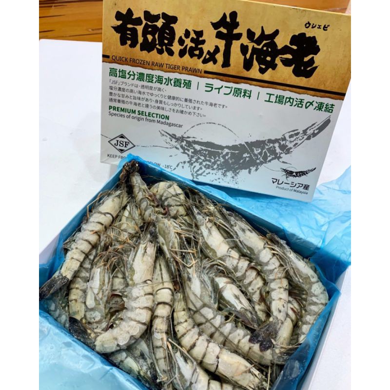 有頭活x牛海老活凍草蝦高鹽草蝦30p 蝦皮購物