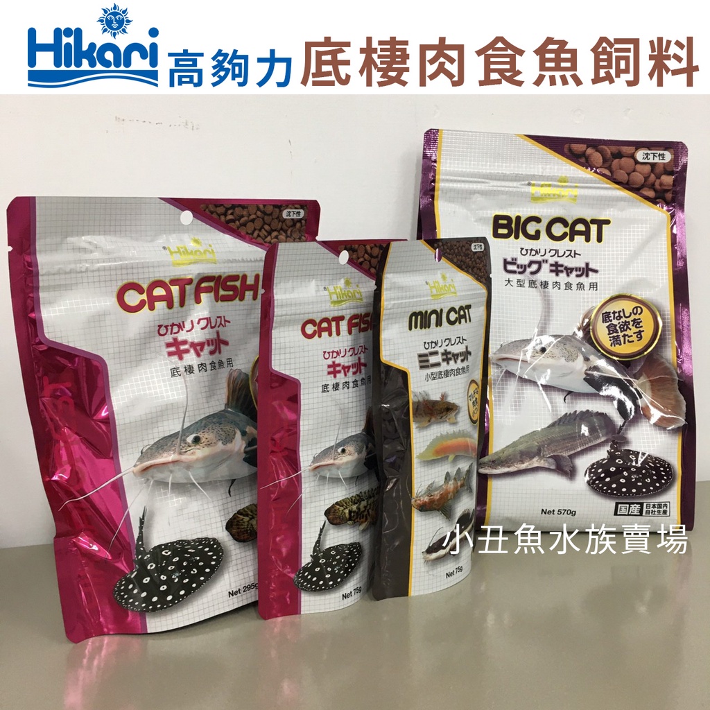 小丑魚賣場 日本hikari 高夠力肉食底棲飼料 私訊優惠底棲魚肉食鴨嘴恐龍大型肉食沉水性 蝦皮購物
