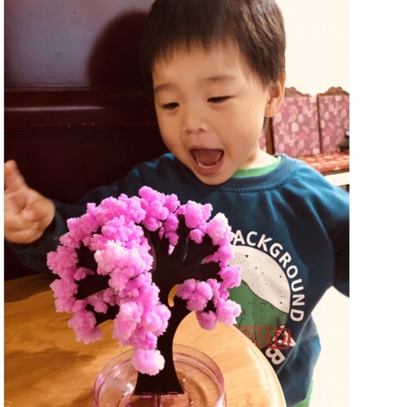 台北現貨 BSMI合格神奇紙樹開花~魔法櫻花版/七彩聖誕樹 聖誕老公公 雪人 科學實驗 日本賞櫻 辦公室賞櫻 療癒系小物