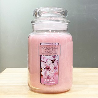 【超激敗】yankee candle 瓶中燭 香氛蠟燭 粉紅櫻花 (CHERRY BLOSSOM) 623G