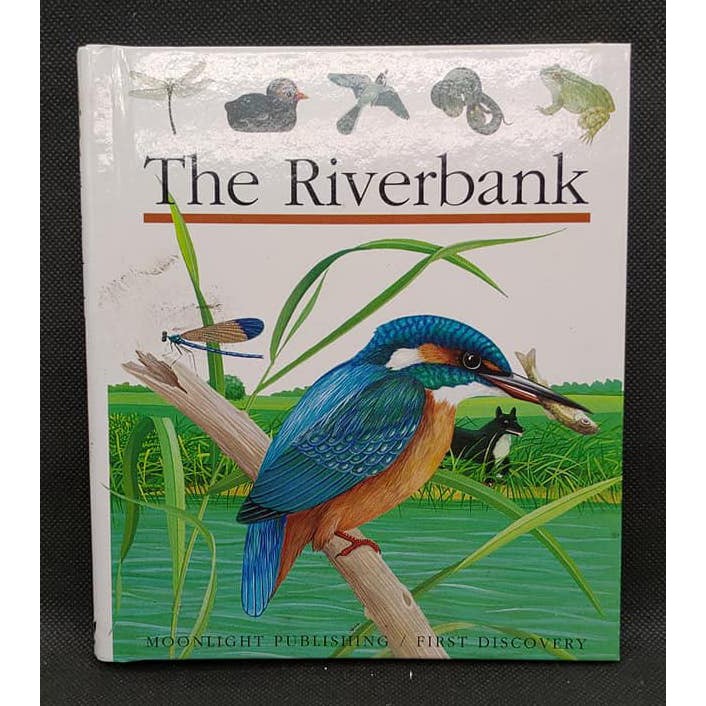 【二手書】第一次英語大發現 The riverbank/ 青林/ A