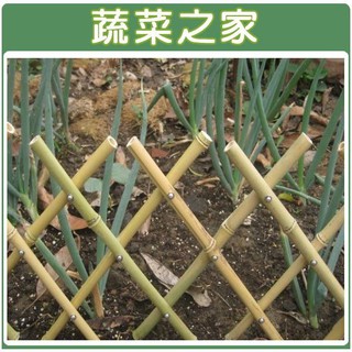 【蔬菜之家滿額免運】伸縮竹籬笆-多尺寸可選擇 (可任意伸長)│園藝 庭園 造景 圍籬 籬笆