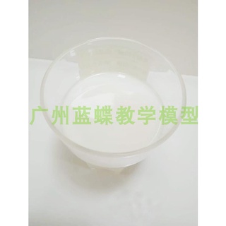 ♥❤模擬牛奶 模擬食品模型 牛奶模型模擬金字塔營養指導平衡膳食寶塔