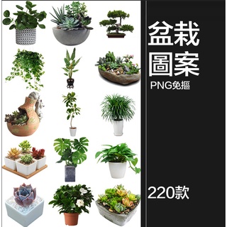 【設計素材】盆栽盆景景觀綠植花草植物裝飾擺件圖片PNG免摳元素PS平面素材