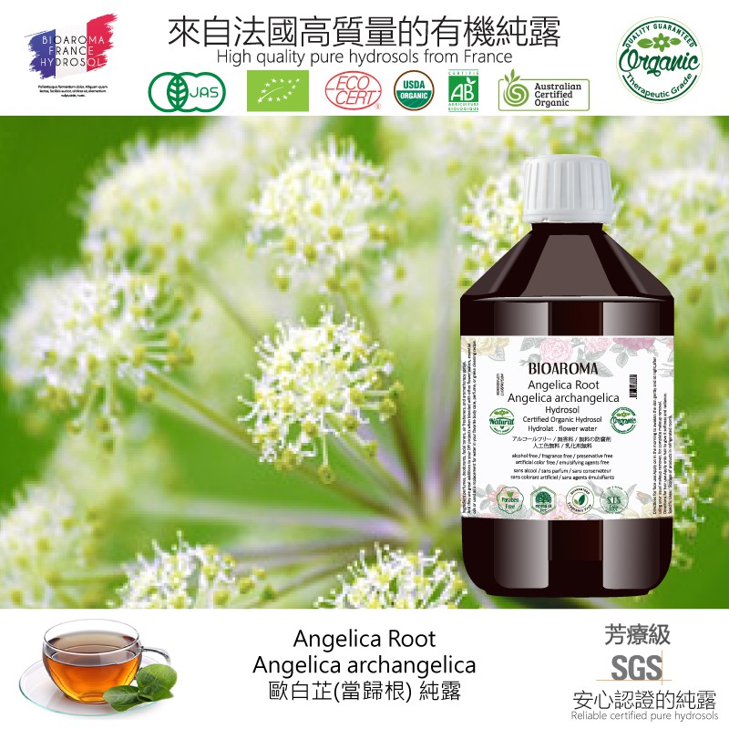 【純露工坊】歐白芷(當歸根)有機花水純露Angelica Root