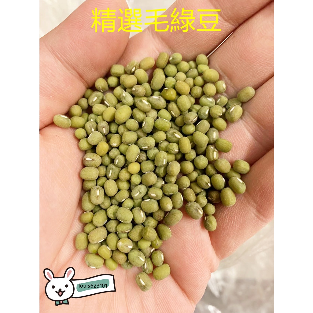 🌈嚴選🌈毛綠豆600克/包 1斤 綠豆湯 粉綠豆 超綿密 甜點 點心 批發零售