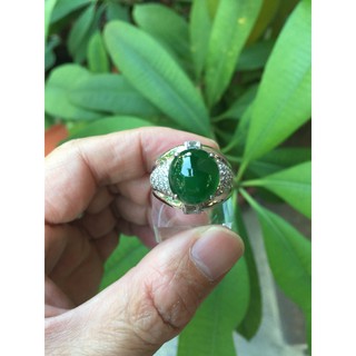 [卡貝拉精品交流] 天然翡翠A貨 冰種 蛋面戒指 老坑滿綠翡翠戒指 18k金 男戒 水頭飽滿