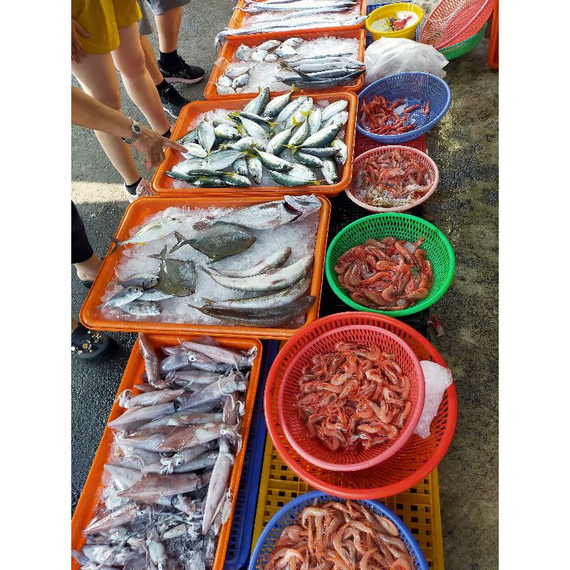 免運費 防疫魚蝦隨機箱 00 蝦皮購物