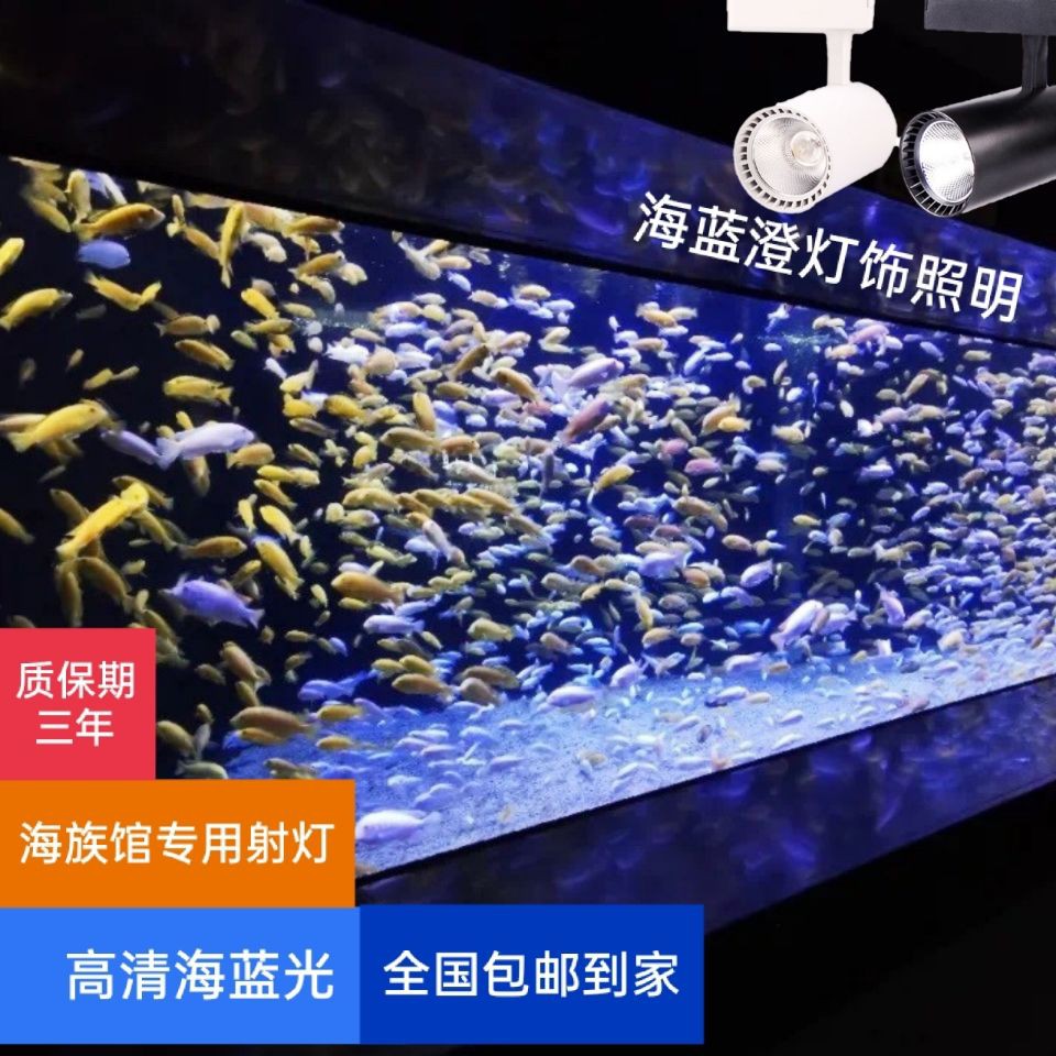 Led 燈海水的價格推薦第47 頁 21年5月 比價比個夠biggo