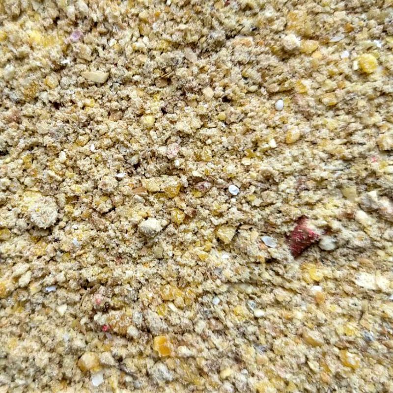 🐔蛋雞/成雞專用🐔新鮮特調產蛋營養飼料500g 添加天然魚蝦蟲鈣粉 蘆丁雞鵪鶉藍胸鵪鶉迷你雞寵物雞蛋雞 成雞 產蛋飼料