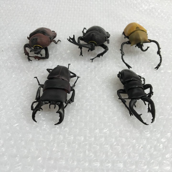 正版散貨f Toys仿真昆蟲甲蟲王者獨角仙昆蟲天牛鍬甲盒蛋玩具 蝦皮購物