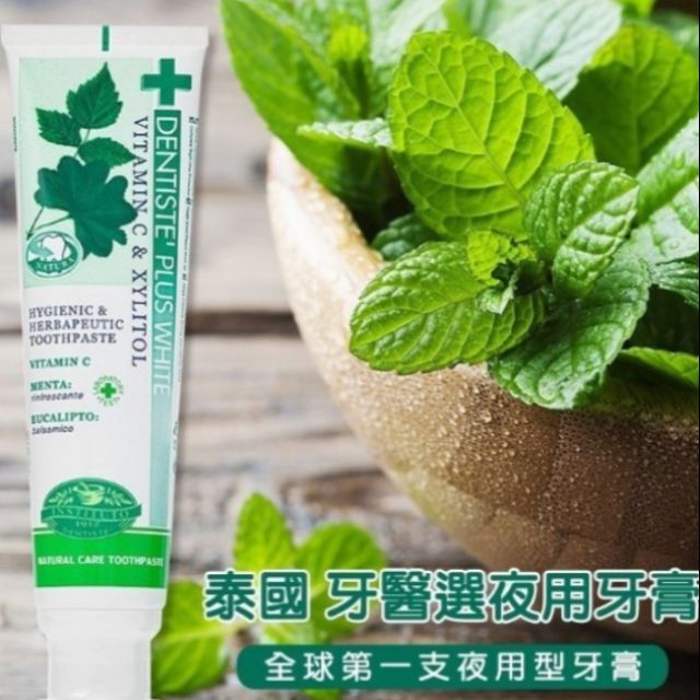 泰國牙醫推薦 Dentiste Plus White 德國夜用型草本牙膏 100g  薄荷 藥草 清爽