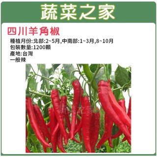 蔬菜之家滿額免運【00G37】大包裝.四川羊角椒種子(一般辣)1200顆(蔬菜種子)