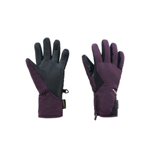 歐都納 A-A1738 GORE-TEX 防水透氣手套 可觸控式 (女)