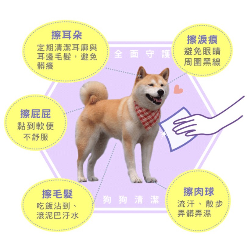 獨家代理 配方升級 快速發貨臭味滾 臭味滾odour Out居家寵物環境專用除臭系列全新升級卡通包裝 蝦皮購物