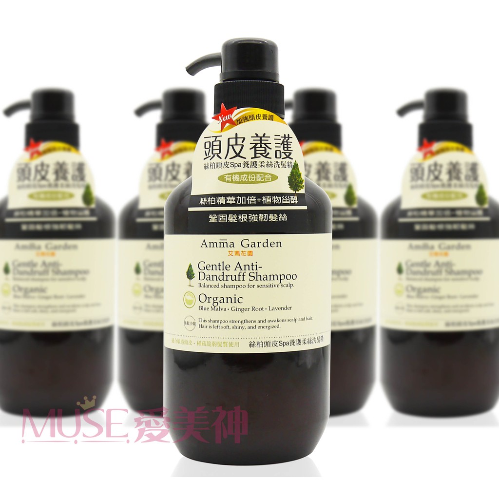 Amma Garden 艾瑪花園絲柏頭皮養護柔絲洗髮精750ml 買就送300ml款式隨機 Muse 愛美神 蝦皮購物