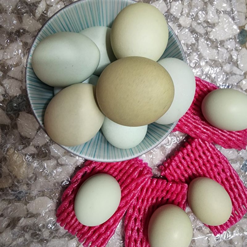 新鮮烏骨雞雞蛋 在地小農直售  一盒30顆裝