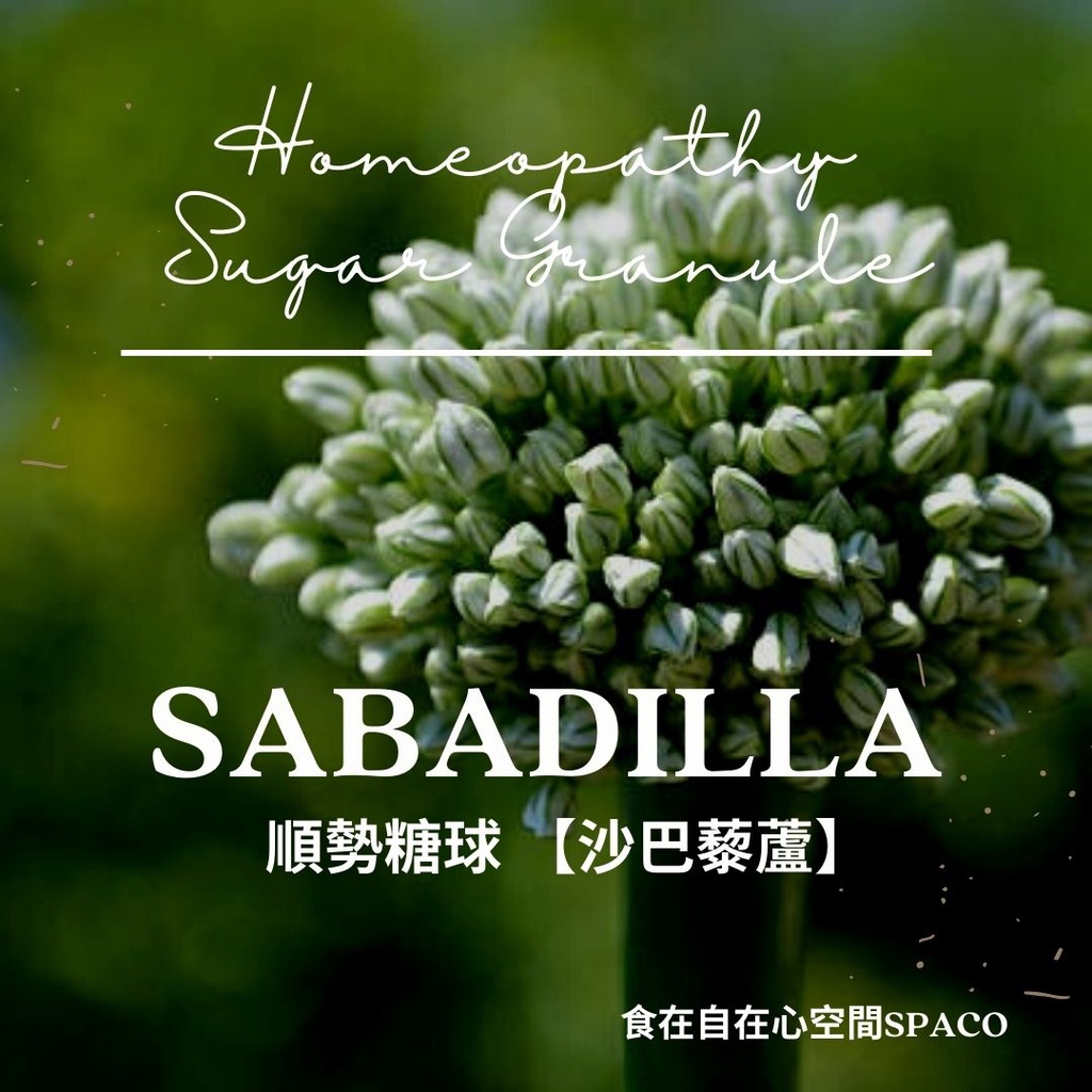 順勢糖球【沙巴藜蘆●Sabadilla】Homeopathic Granule 9克 食在自在心空間