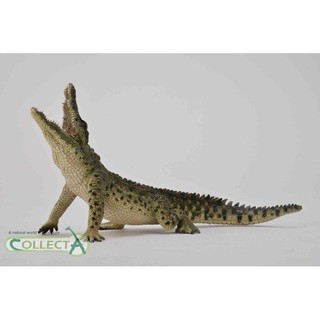 動物模型 CollectA 尼羅鱷 鱷魚 (躍起) 嘴可動