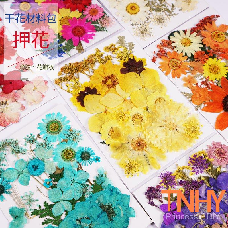 Tnhy 模具廠家 乾花diy押花包押花書籤壓花包壓花畫材料真花滴膠乾樹葉 蝦皮購物