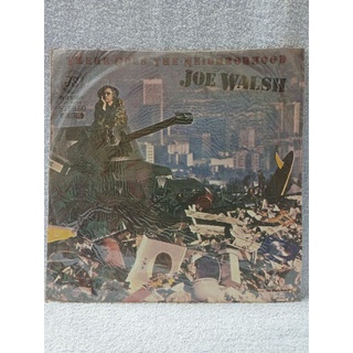 黑膠唱片-joe walsh/there goes the neighborhood