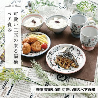 現貨 來福貓盤子 日本製 中皿 16.8 cm 陶瓷盤 料理盤 餐盤 招財貓 日本福貓 日本瓷器 紅色 碗盤 日本進口