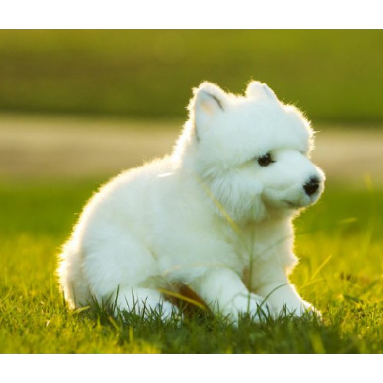 狐狸犬娃娃的價格推薦 21年10月 比價比個夠biggo