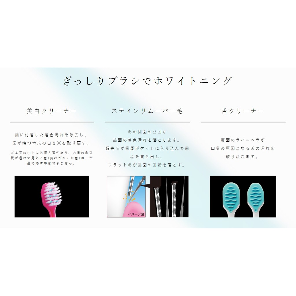 日本製ebisu 惠比壽優質倍護美白牙刷窄頭圓頭一般刷毛牙刷寬版45孔6列38孔6列舌苔刷惠百施 蝦皮購物