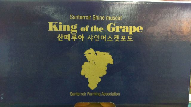 韓國麝香葡萄
