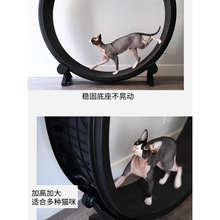貓咪通用跑步機轉輪寵物狗狗訓練器大滾輪健身鍛煉器貓玩具