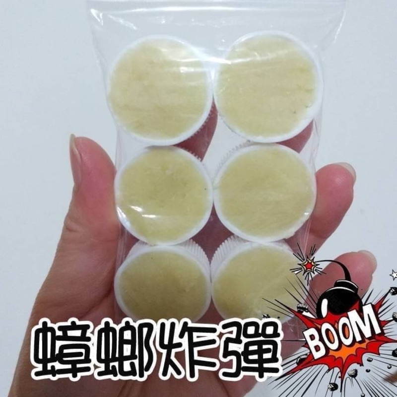 夏天必備必使用的蟑螂炸彈