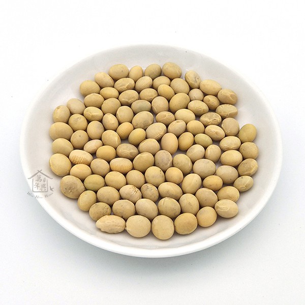 加拿大 非基改 黃豆 1斤(600g) 非基因改造 煮豆漿